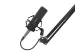 GENESIS Radium 300 XLR Schwarz Studio-Mikrofon