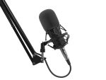 GENESIS Radium 300 XLR Schwarz Studio-Mikrofon