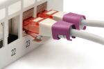 Digitus Farbclips für Patchkabel - Magenta
