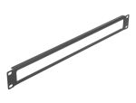 DELOCK 19" Netzwerkschrank Panel mit Öffnung 1...