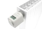 Olympia Heizkörperthermostat
