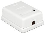 DeLOCK 86169 Steckdose RJ-45 Weiß