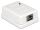 DeLOCK 86169 Steckdose RJ-45 Weiß