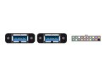 Delock Kabel USB 3.0 Pfostenbuchse 2,00 mm 19 Pin 2 x USB