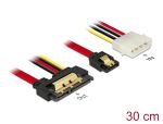 DELOCK SATA-Kabel SATA III + Molex 4Pin -> SATA 22Pin 0.30m