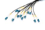 Digitus Vorkonfektionierte Glasfaser Universal Breakout Kabel, Singlemode OS2, 12 Fasern, LC/UPC - LC/UPC