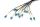 Digitus Vorkonfektionierte Glasfaser Universal Breakout Kabel, Singlemode OS2, 12 Fasern, LC/UPC - LC/UPC