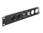 DELOCK D-Typ Modul USB 5 Gbps Typ-A Buchse zu Buchse...