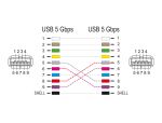 DELOCK D-Typ Modul USB 5 Gbps Typ-A Buchse zu Buchse 90° gew