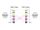 DELOCK D-Typ Modul USB 5 Gbps Typ-A Buchse zu Buchse 90° gew