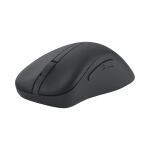 ASUS Wireless Mouse MD102 Maus Universal rechts RF Wireless + Bluetooth Optisch 1600 DPI
