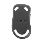ASUS Wireless Mouse MD102 Maus Universal rechts RF Wireless + Bluetooth Optisch 1600 DPI