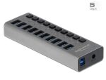 DeLOCK Externer 5 Gbps USB Hub mit 10 Ports + Schalter