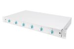 Digitus LWL Spleißbox, 1HE, bestückt, 6x LC DX, OM3