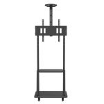 Techly ICA-TR33 Halterung für Schilderdisplays 177,8 cm (70") Schwarz