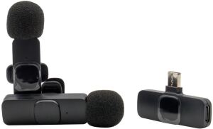 RealPower HS-1,Wireless Microphone,2 Mikrofone,1 Empfänger