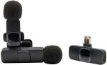 RealPower HS-1,Wireless Microphone,2 Mikrofone,1...