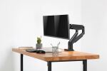 Digitus Dual Monitorhalterung, 2x 32", 2x 9 kg