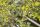 Gardena 17401-20 Handwerkzeug-Schaft, -Griff/-Adapter Stahl