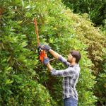 Black&Decker Elektro-Heckenschere, 420W, 45cm, 16mm BEHT201