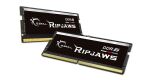 G.Skill Ripjaws F5-4800S3434A16GX2-RS Speichermodul 32 GB...