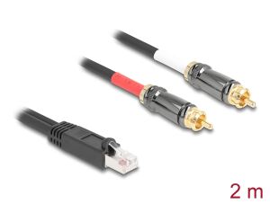 DELOCK Adapter RJ45 Stecker zu 2 x Cinch Stecker schwarz 2 m