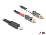 DELOCK Adapter RJ45 Stecker zu 2 x Cinch Stecker schwarz 2 m