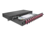 DELOCK 19" LWL Spleißbox 12x SC DX OM4 1HE...