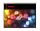 Elite Screens "Manual M100XWH-E24" Rollo Leinwand 221,0cm x 124,5cm (BxH) 16:9
