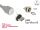 DELOCK Magnetischer Adapter USB Typ Micro-B Stecker