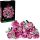 Lego Botanicals Rosa Rosenstrauß--10374