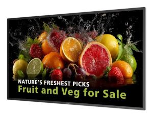 Philips 5000 series 43BDL5050D Digital Signage Flachbildschirm 108 cm (42.5") LCD WLAN 600 cd/m² 4K Ultra HD Schwarz Eingebauter Prozessor Android 14 24/7