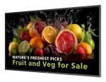 Philips 5000 series 43BDL5050D Digital Signage...