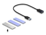 DELOCK USB 3.2 Gen 2 Gehäuse für PlayStation 5 M.2 NVMe Slot