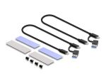DeLOCK Externes USB Type-C Dual Combo Gehäuse für 2 x M.2 NVMe PCIe oder SATA SSD - werkzeugfrei