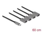 DELOCK 4 Port USB 2.0 Kabel-Hub USB Type-C Anschluss 60cm