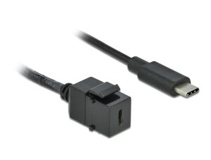 DELOCK Keystone Modul USB 5 Gbps Typ-C St. mit Kabel 25cm