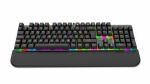 Inca IKG-443 Tastatur Gaming USB Schwarz
