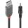 Lindy 70265 Stromkabel Schwarz 1,5 m USB A EIAJ-01 (2.5 mm, 0.7 mm)