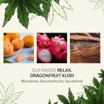 Candle Brothers Duftkerze CBD Relax Dragon Fruit Kush 350g