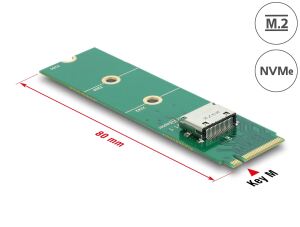 DELOCK M.2 Key M zu 1 x OCuLink SFF-8612 Konverter