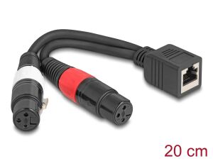 DELOCK Adapterkabel RJ45 Bu > 2x XLR 3 Pin Bu schwarz 20cm