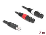 DELOCK Adapterkabel RJ45 St > 2x XLR 3 Pin Bu schwarz 2m