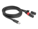 DELOCK Adapterkabel RJ45 St > 2x XLR 3 Pin Bu schwarz 2m