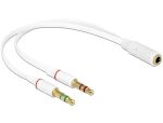 DeLOCK 65585 Audio-Kabel 0,2 m 2 x 3.5mm 3.5mm Weiß