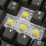 Sharkoon SGK50 S3 Tastatur Gaming USB QWERTZ Deutsch Schwarz