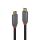 Lindy 36901 USB Kabel 1 m USB C 10 Gbit/s Schwarz, Grau