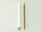 DELOCK LTE-Antenne N-Stecker 2,5dBi, GSM/UMTS outdoor weiß