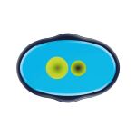 Pelikan Doppeldosenanspitzer griffix Blau 1 ST