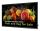 Philips 5000 series 50BDL5050D/00 Signage-Display 127 cm (50") LCD WLAN 600 cd/m² Full HD Schwarz Eingebauter Prozessor Android
